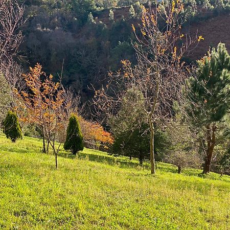 Finca Portizuelo Luarca Luaran gambar