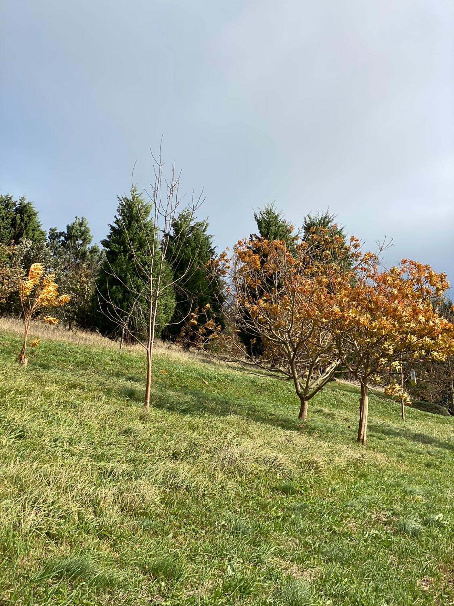 Finca Portizuelo Luarca Luaran gambar