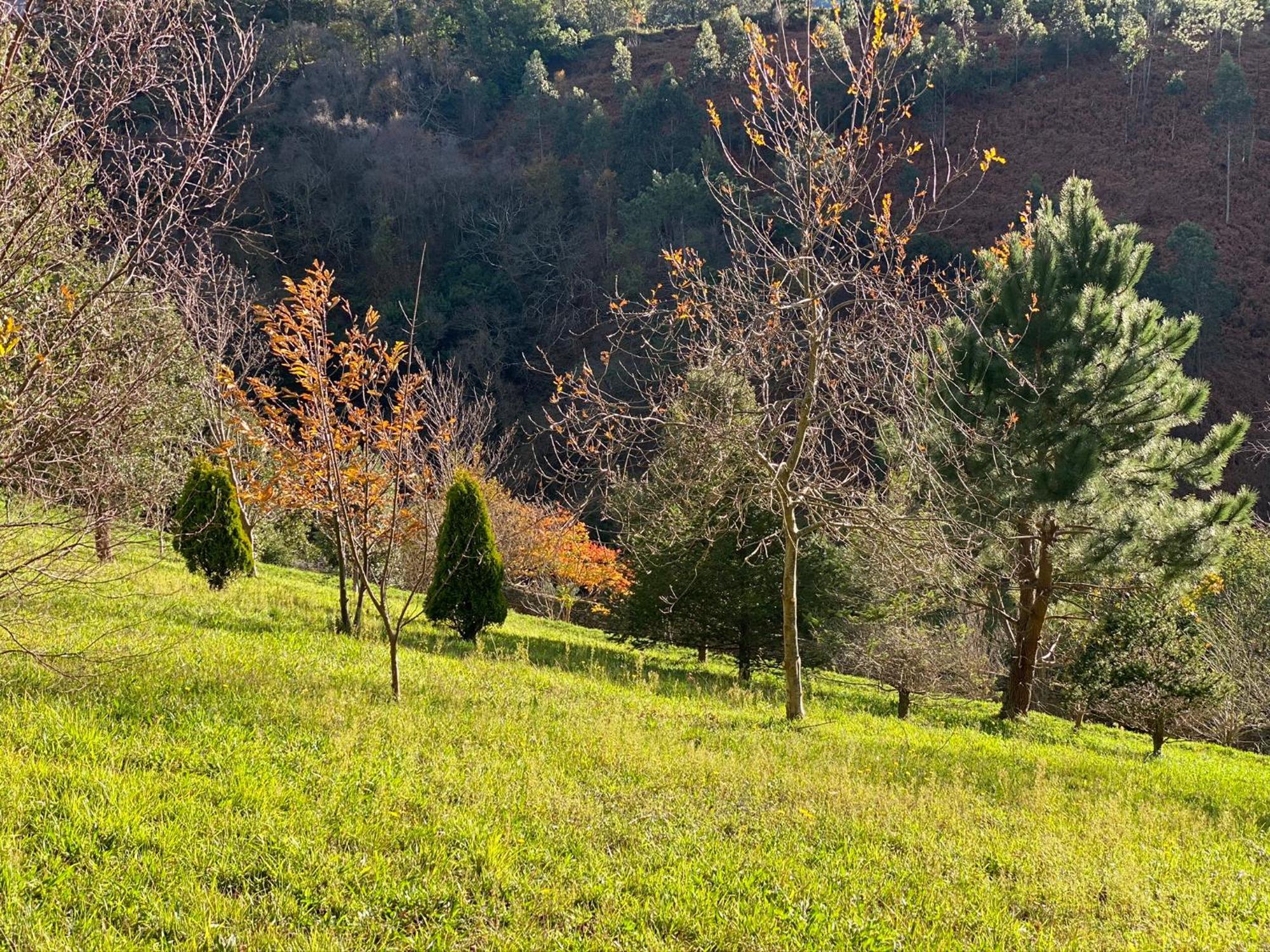 Finca Portizuelo Luarca Luaran gambar