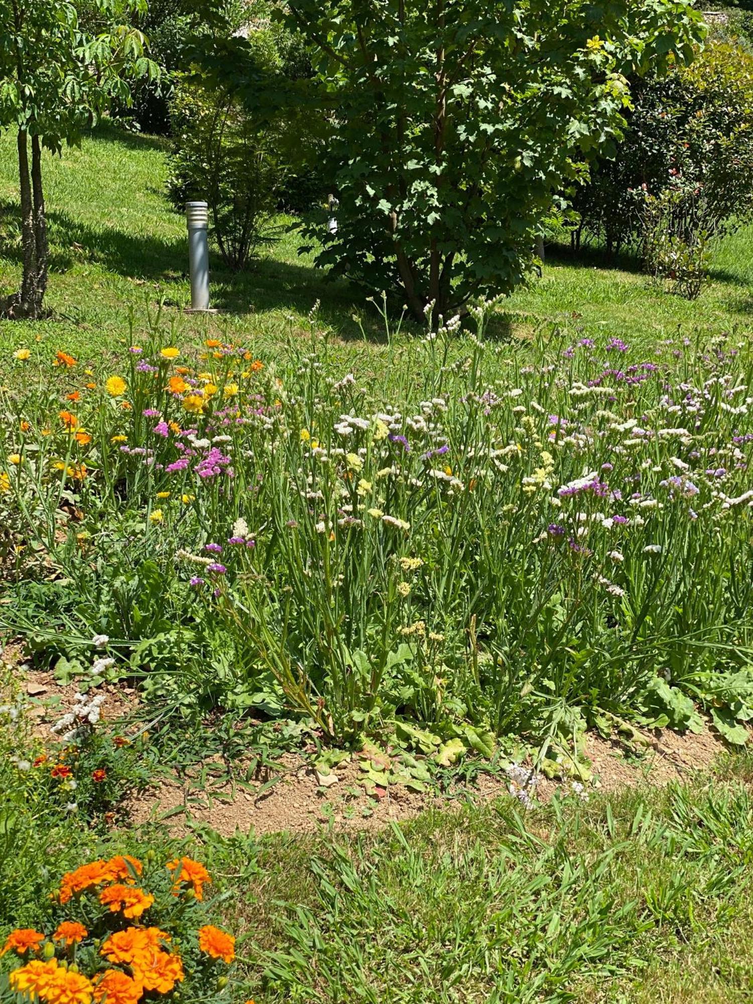 Finca Portizuelo Luarca Luaran gambar