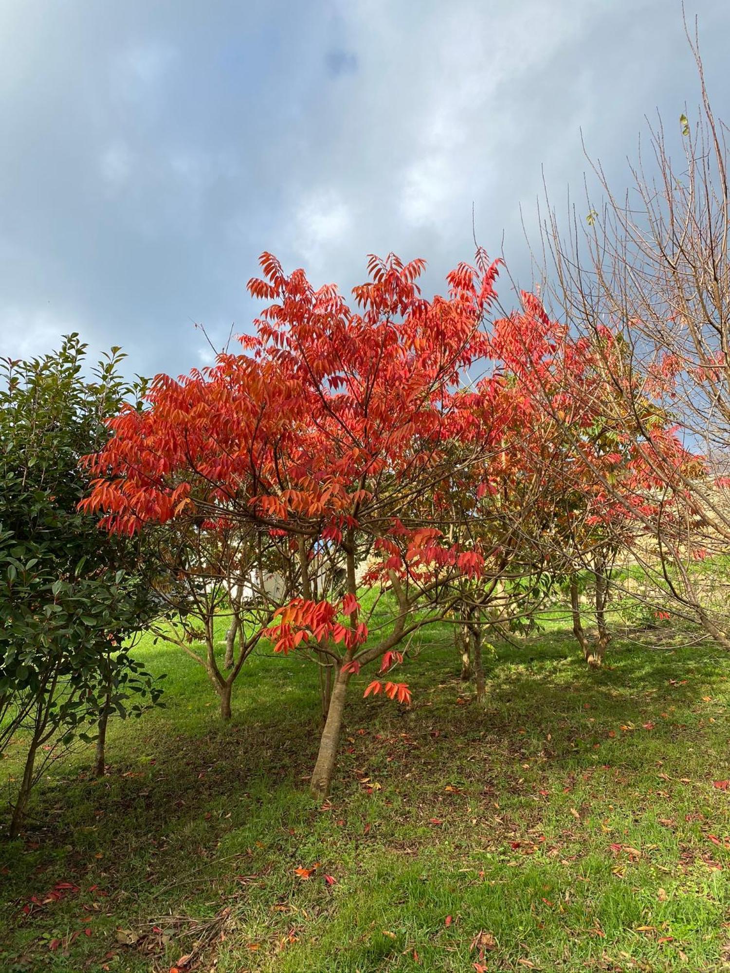 Finca Portizuelo Luarca Luaran gambar