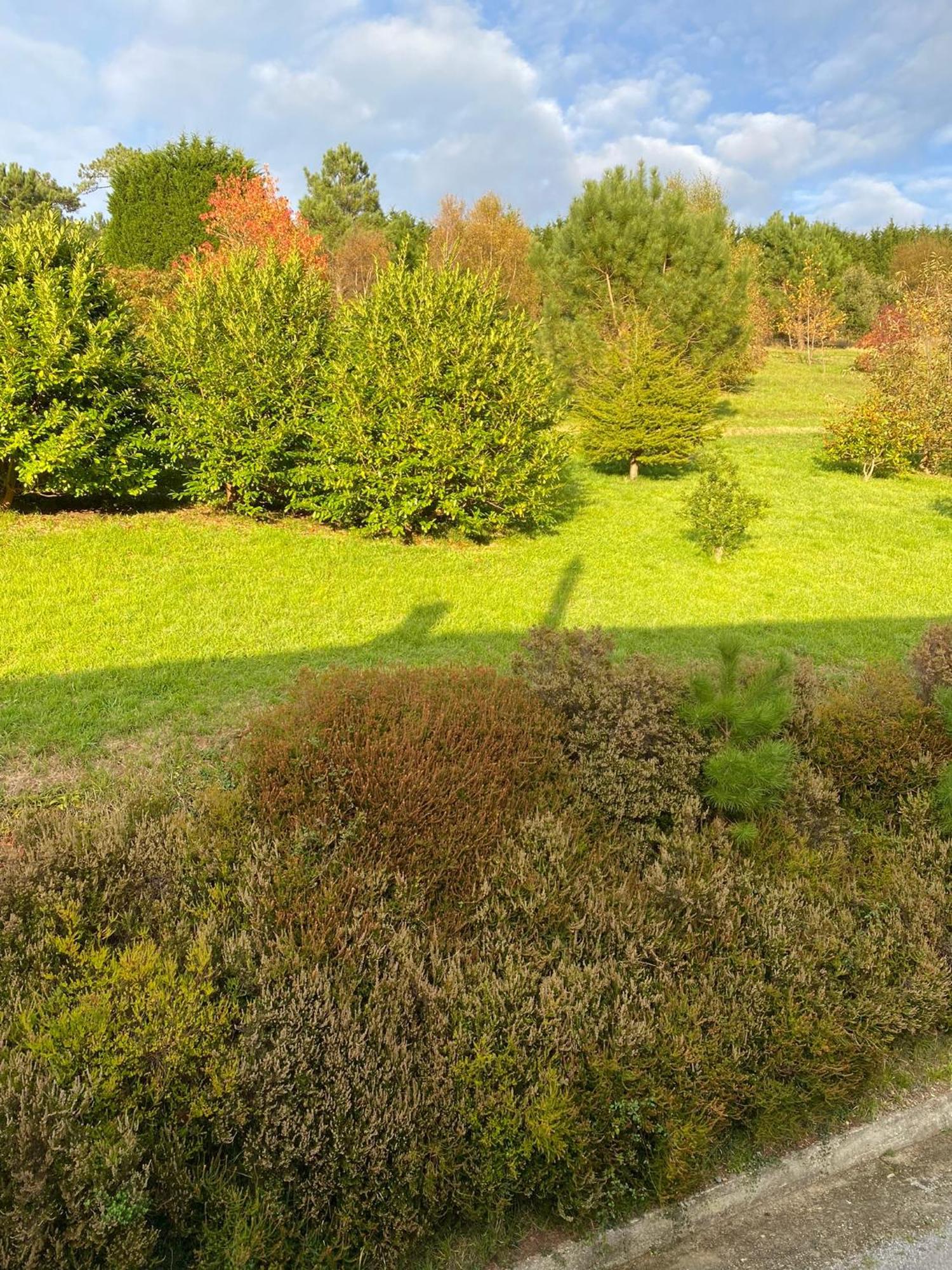 Finca Portizuelo Luarca Luaran gambar