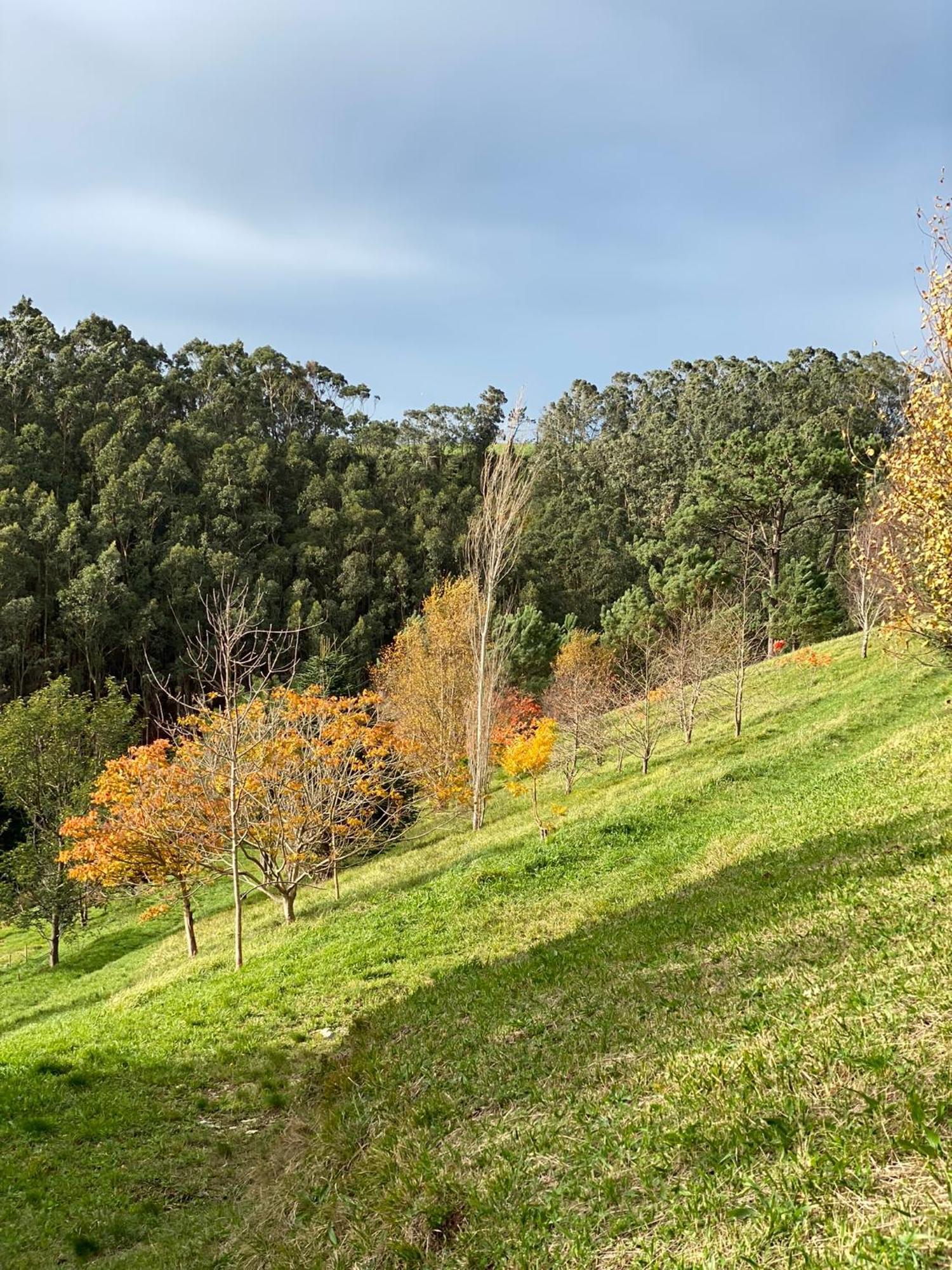 Finca Portizuelo Luarca Luaran gambar