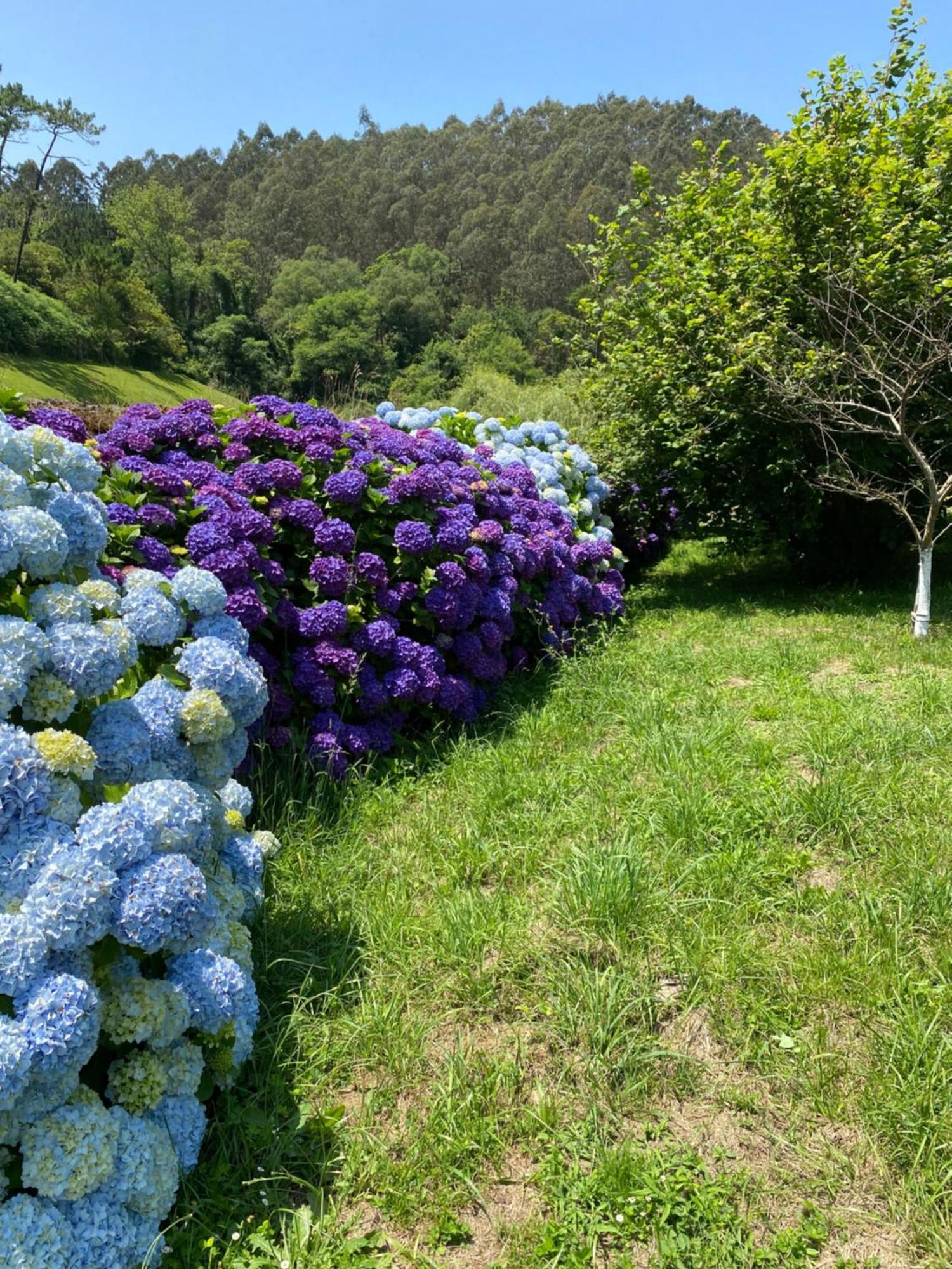 Finca Portizuelo Luarca Luaran gambar